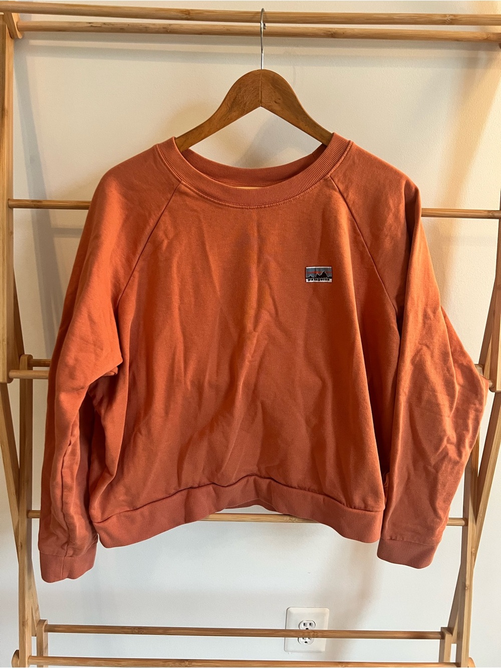Patagonia Rust Orange Crewneck Sweatshirt
